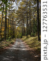 秋の木漏れ日抜ける林道 127763531