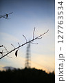 鉄塔と夕焼けを背にした枯れ木 127763534