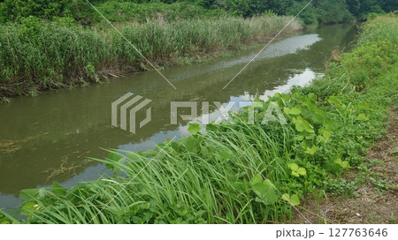 河原の風景 小川の流れ 127763646