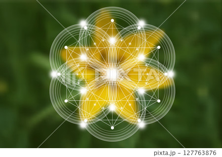 Seed Flower of life lotus icon, logo mandala sacred geometry, symbol of harmony and balance. Mystical talisman, white circles lines vector green natural background 127763876