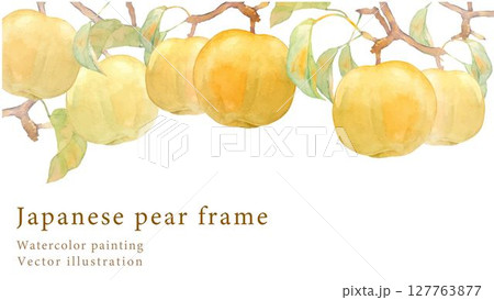 水彩で描いた梨の背景ベクターイラスト 127763877