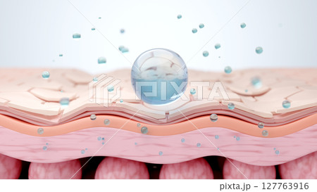 乾燥肌の断面図 ヒアルロン酸が角質層へ浸透する保湿ケアのコンセプトCG 乾燥肌の断面図 ヒアルロン酸が角質層へ浸透する保湿ケアのコンセプトCG 127763916