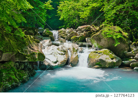 栃木県那須塩原市　緑の森林とスッカン沢 127764123