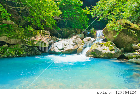 栃木県那須塩原市　緑の森林とスッカン沢 127764124