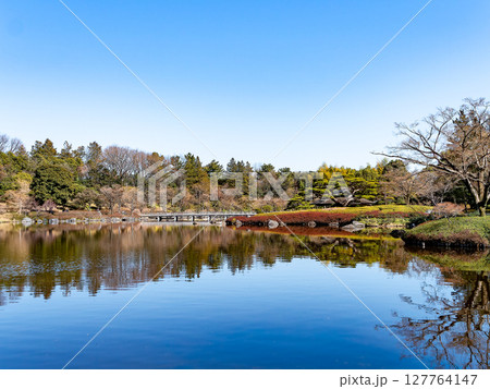 早春の日本庭園の爽やかな景色 早春の日本庭園の爽やかな景色 127764147