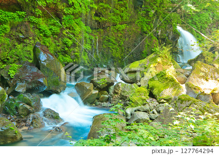 栃木県那須塩原市 スッカン沢を流れる仁三郎の滝 栃木県那須塩原市 スッカン沢を流れる仁三郎の滝 127764294