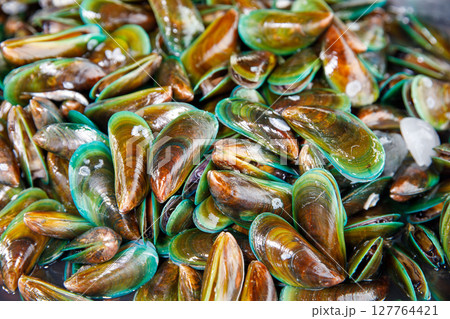 Fresh green mussels with shiny shells and ice cubes on wet seafood market table 127764421