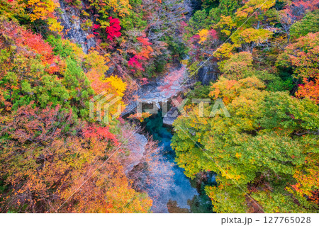 付知峡（秋） 127765028