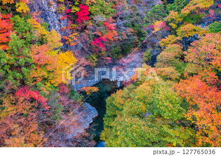 付知峡(秋) 付知峡(秋) 127765036