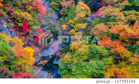 付知峡（秋） 127765145