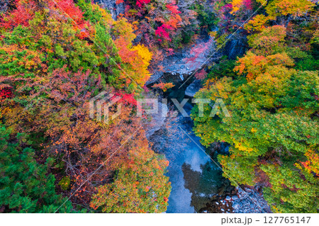 付知峡（秋） 127765147