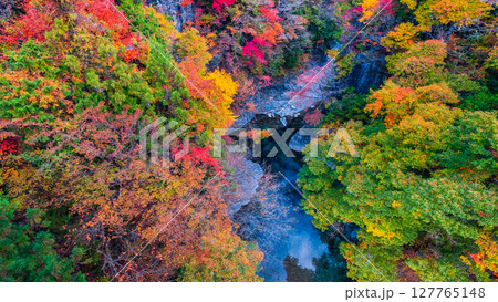 付知峡（秋） 127765148