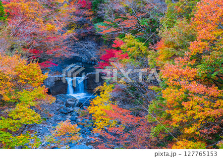 付知峡(秋) 付知峡(秋) 127765153