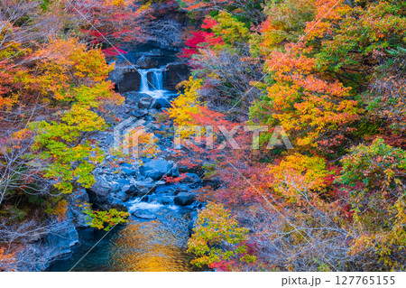 付知峡（秋） 127765155