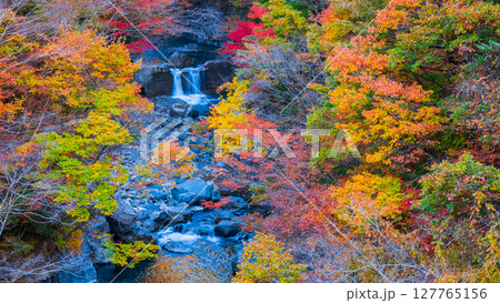 付知峡(秋) 付知峡(秋) 127765156