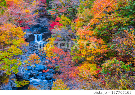 付知峡(秋) 付知峡(秋) 127765163
