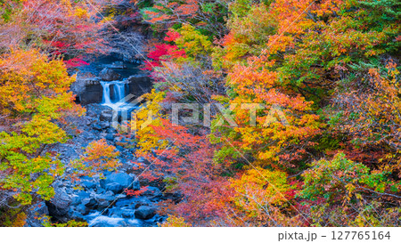 付知峡(秋) 付知峡(秋) 127765164