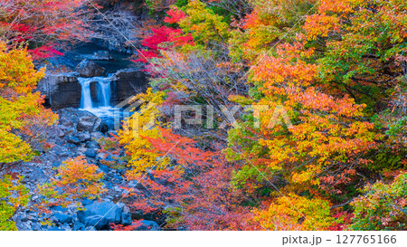 付知峡（秋） 127765166