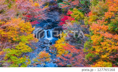 付知峡(秋) 付知峡(秋) 127765168