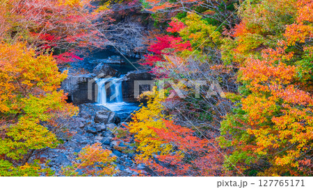 付知峡(秋) 付知峡(秋) 127765171