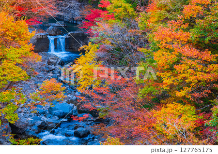 付知峡(秋) 付知峡(秋) 127765175
