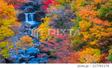 付知峡（秋） 127765176