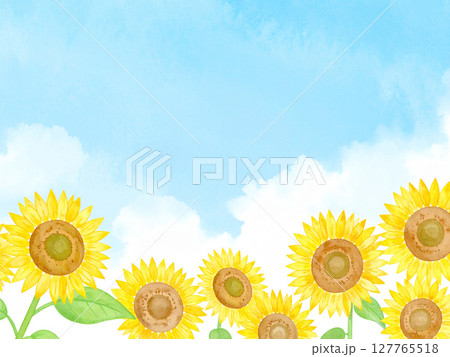向日葵と青空 127765518