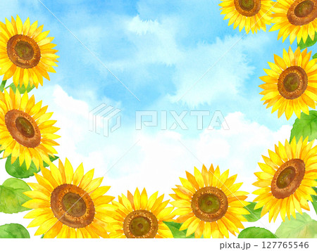向日葵と青空 127765546