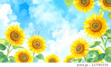 向日葵と青空 127765550