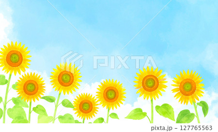 向日葵と青空 127765563