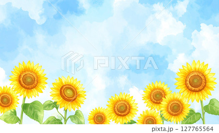 向日葵と青空 127765564