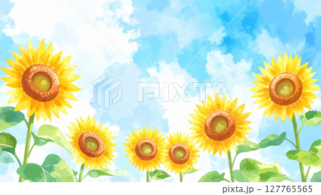 向日葵と青空 127765565