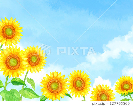 向日葵と青空 向日葵と青空 127765569