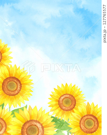 向日葵と青空 127765577