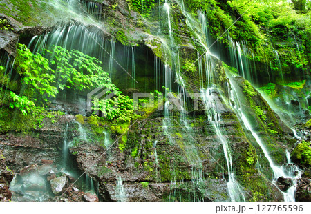 栃木県那須塩原市　スッカン沢へ流れる素簾の滝 127765596