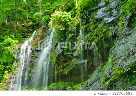 栃木県那須塩原市　スッカン沢へ流れる素簾の滝 127765598