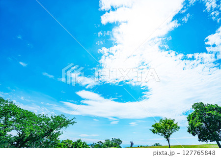 青空と雲と草原 127765848