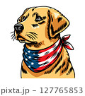 Dog wearing american flag bandana and sunglasses in american flag background, vector illustration for the 4th of July, independence day, memorial day, veterans day, freedom day, patriotism symbol 127765853