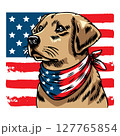 Dog wearing american flag bandana and sunglasses in american flag background, vector illustration for the 4th of July, independence day, memorial day, veterans day, freedom day, patriotism symbol 127765854