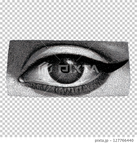 Vintage Engraved Eye Illustration. Retro Illustration Isolated On Transparent Background 127766440