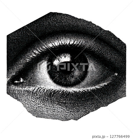 Vintage Engraved Eye. Retro Illustration Isolated On Transparent Background 127766499