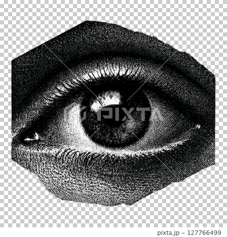 Vintage Engraved Eye. Retro Illustration Isolated On Transparent Background 127766499