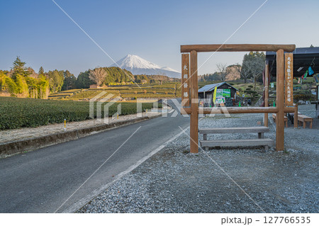 富士市の大淵笹場の風景(静岡県) 127766535