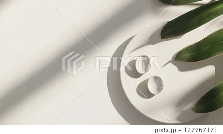 白い背景にピアス、イヤリングと観葉植物 白い背景にピアス、イヤリングと観葉植物 127767171