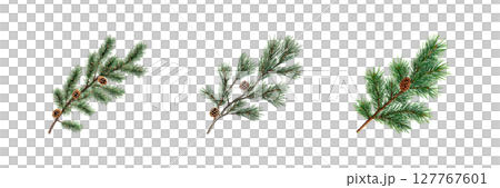 Pine Branches With Cones Set. Nature And Holiday Decoration Collection Isolated On Transparent Background 127767601