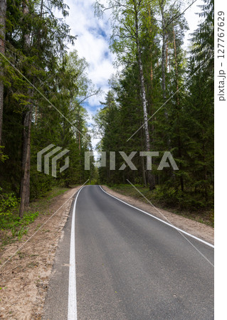 A beautiful road winding through a dense forest, bordered by vibrant green trees A beautiful road winding through a dense forest, bordered by vibrant green trees 127767629