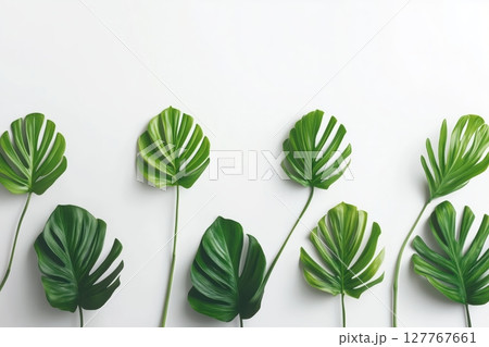 Tropical leaves in vibrant green and teal, arranged on a clean white background Tropical leaves in vibrant green and teal, arranged on a clean white background 127767661