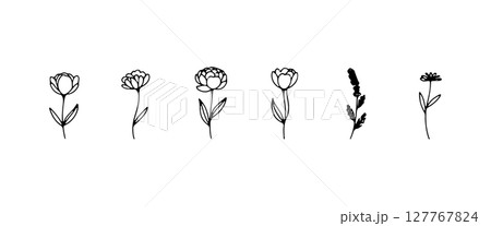 Classic Botanical Row. A balanced set of classic flower drawings with subtle detail and organic flow, suitable for elegant prints and compositions. Classic Botanical Row. A balanced set of classic flower drawings with subtle detail and organic flow, suitable for elegant prints and compositions. 127767824