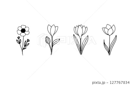 Delicate Hand-sketched Row. A linear floral group with fine lines and airy spacing, suitable for calm compositions and branding projects. Delicate Hand-sketched Row. A linear floral group with fine lines and airy spacing, suitable for calm compositions and branding projects. 127767834