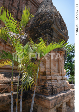 Tropical tree and brickwork of ancient Po Nagar Cham Tower of 12 century in Nha Trang, Vietnam Tropical tree and brickwork of ancient Po Nagar Cham Tower of 12 century in Nha Trang, Vietnam 127767954